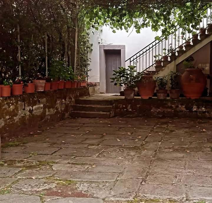 סן פיירו אין בניו Albergo Del Ponte מראה חיצוני תמונה